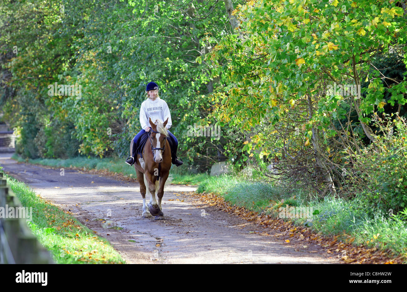 Woman riding horse dans le village de Deeside Bieldside près d'Aberdeen, Écosse, Royaume-Uni Banque D'Images