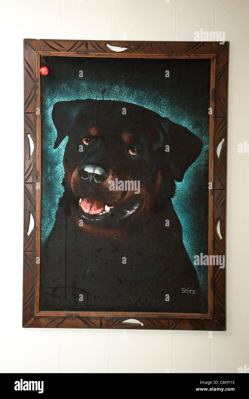 Wall Hanging encadrée de Rottweiler dog face. Banque D'Images