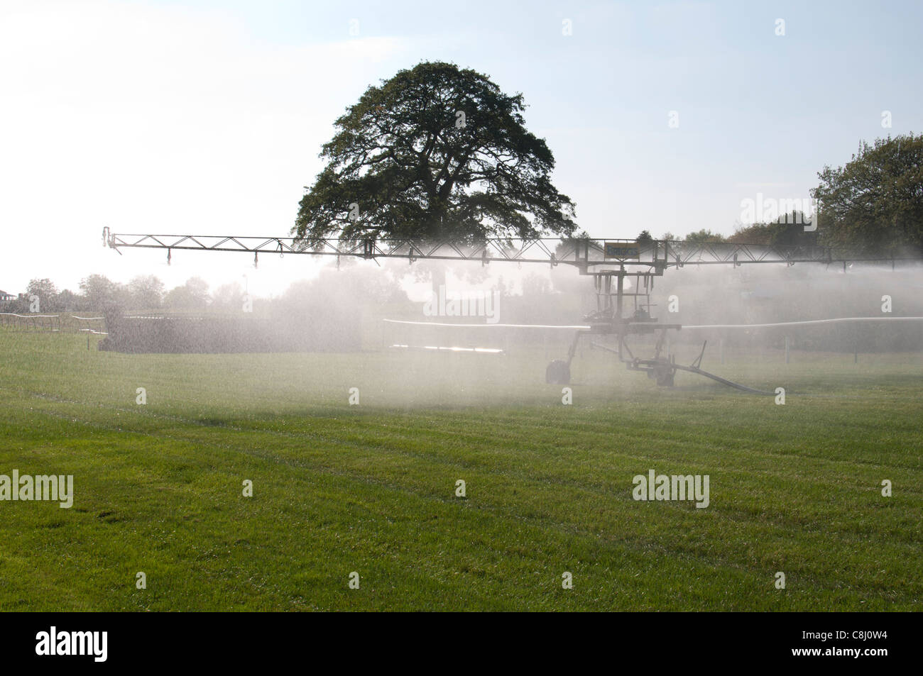 Système d'arrosage automatique Briggs sur l'hippodrome de Warwick, Royaume-Uni Banque D'Images
