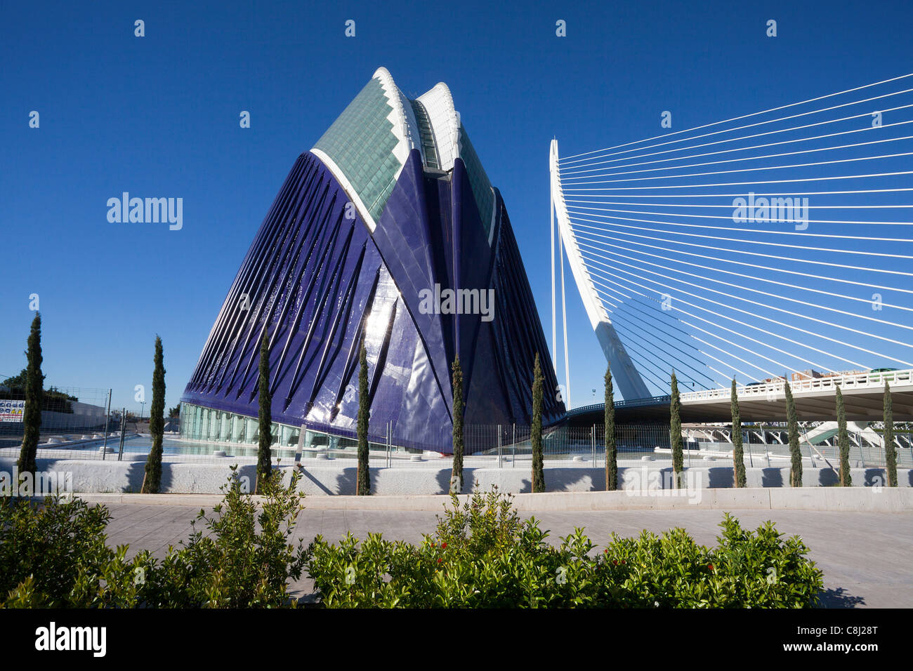 L'Espagne, l'Europe, Valence, Cité des Arts et des sciences, Calatrava, architecture, moderne, Agora, parc, Assut del ou, pont, Banque D'Images