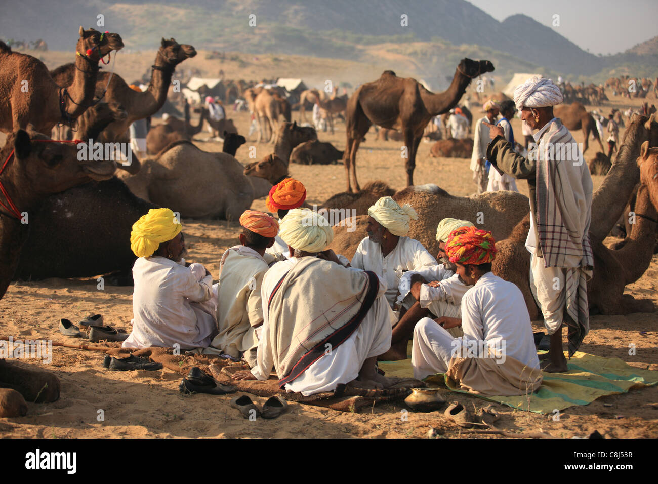 Pushkar, Rajasthan, Inde, Asie, pushkar mela, pushkar fair, pushkar mela, camel fair, marché aux chameaux, désert, chameau, hommes, Rajput, Banque D'Images