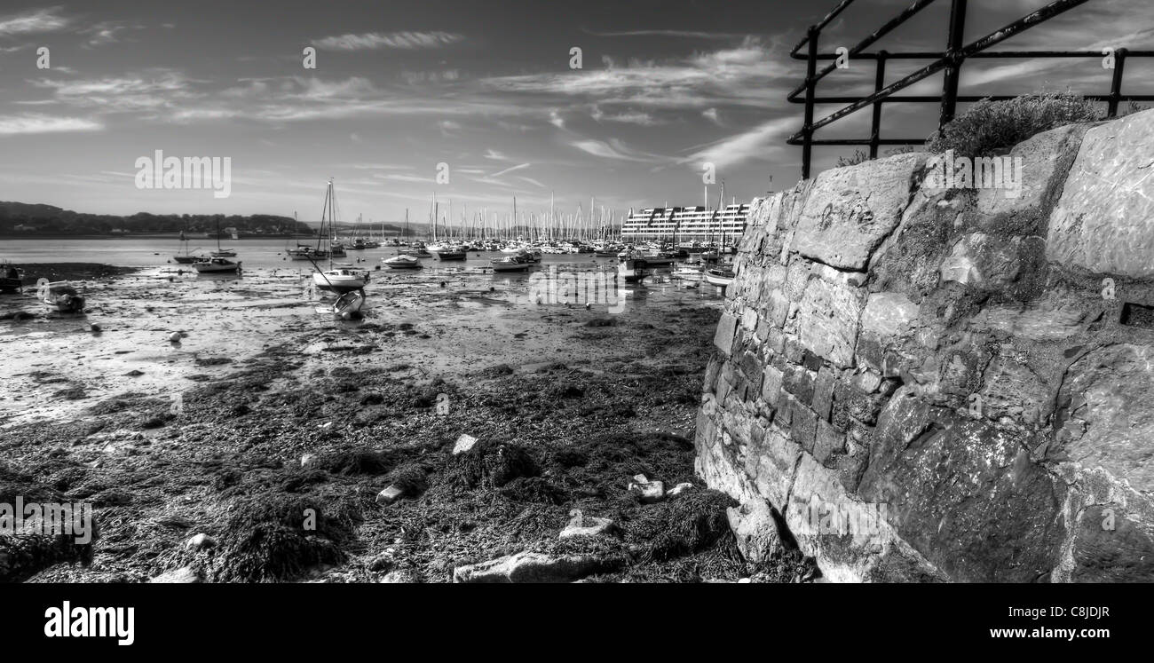 'Plymouth' Marina dans le Devon Banque D'Images