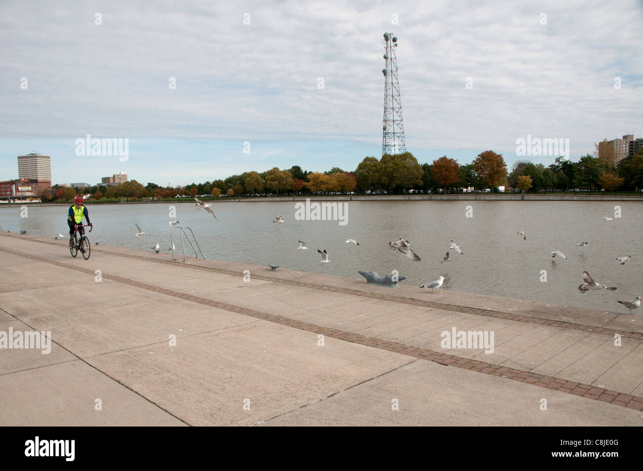 Rivière avec les cyclistes et les goélands. Banque D'Images
