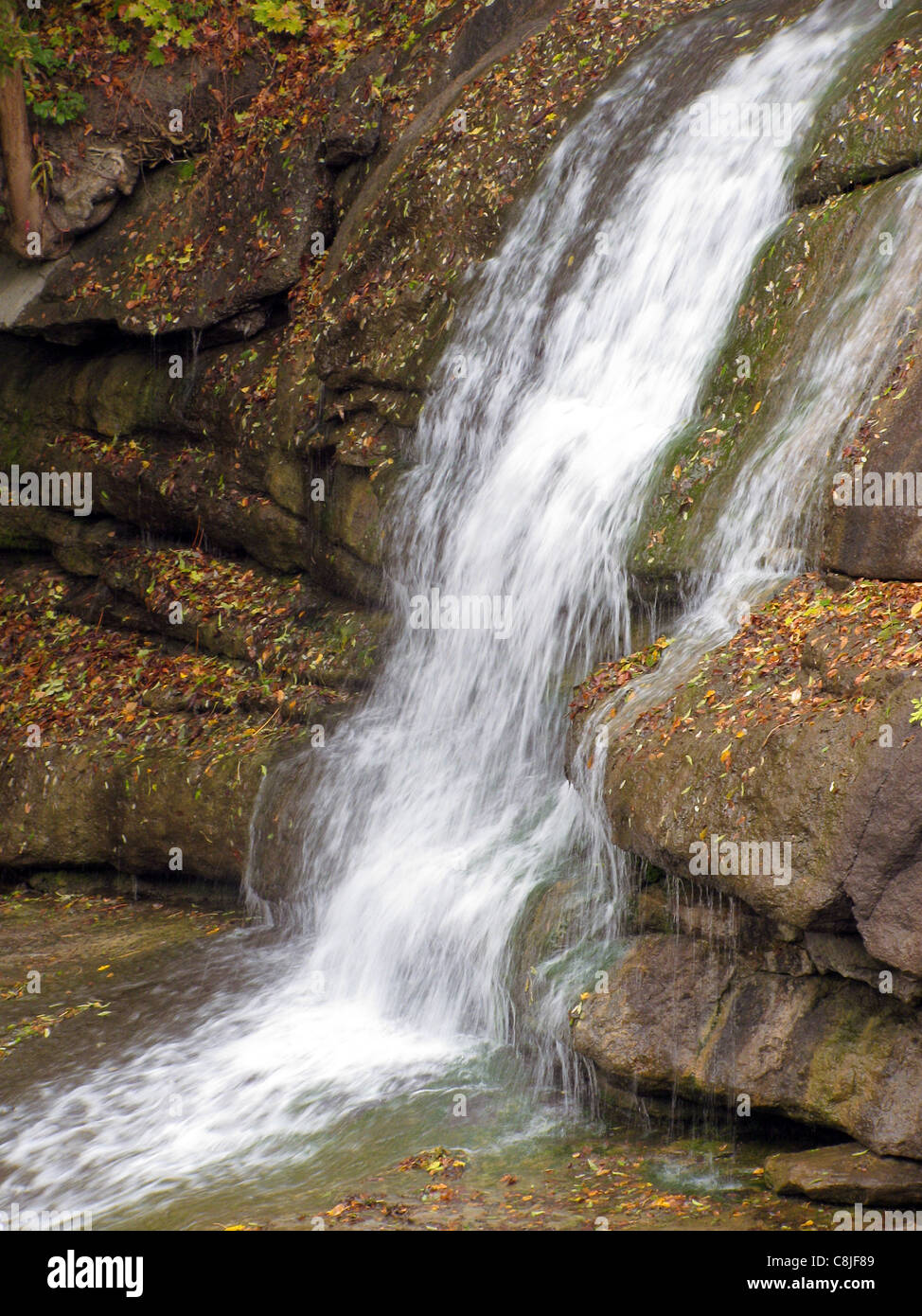 Cascade dans un parc d'automne Banque D'Images