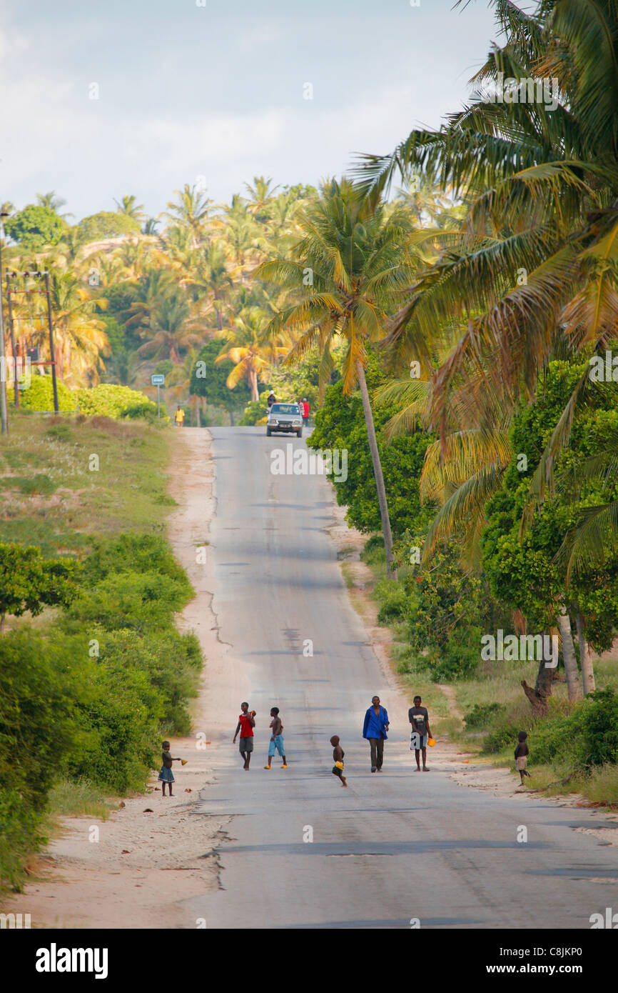 Route à travers les palmeraies du Mozambique Banque D'Images