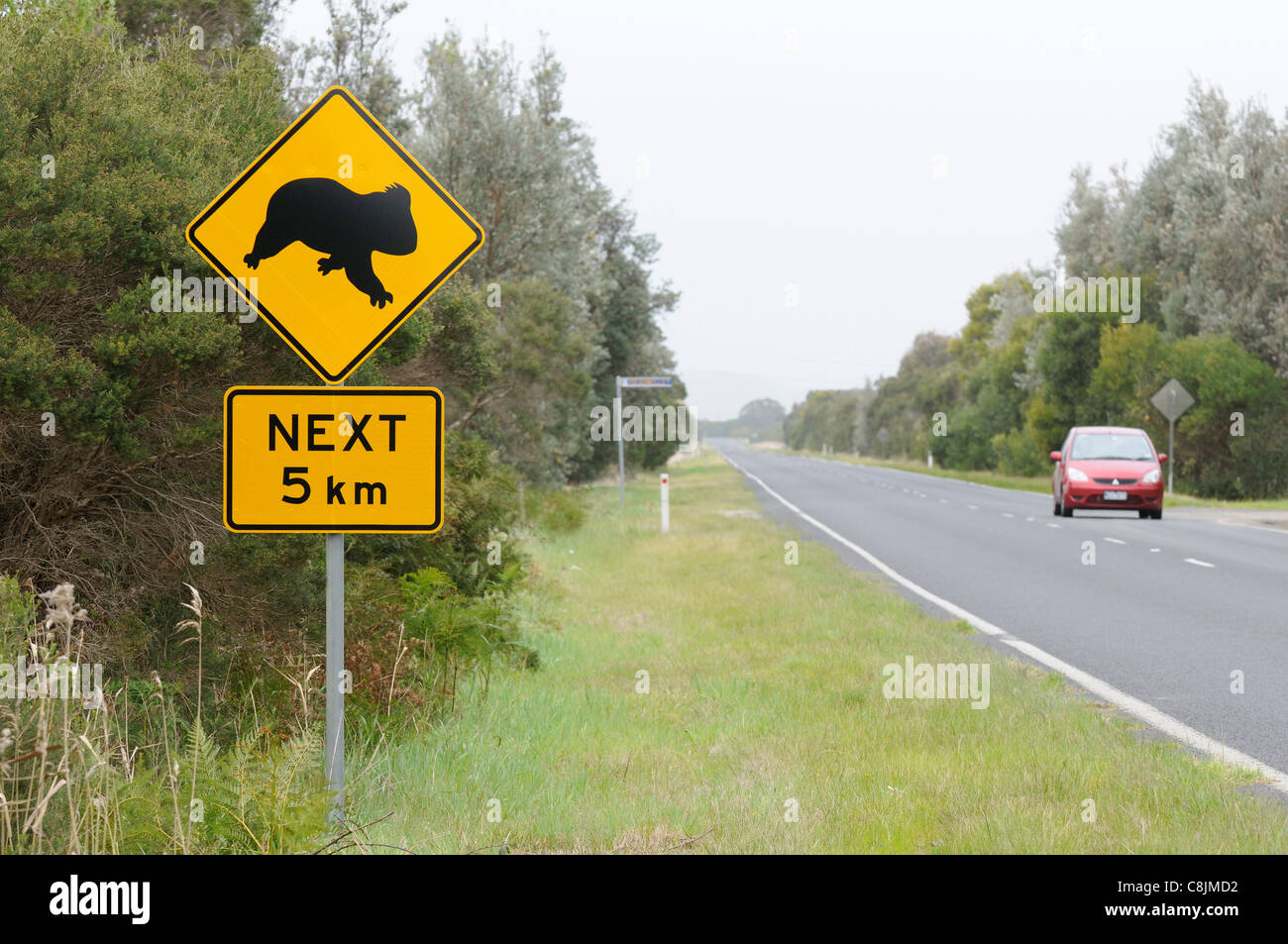 Des panneaux routiers de Koala photographié dans le sud de l'Australie Banque D'Images