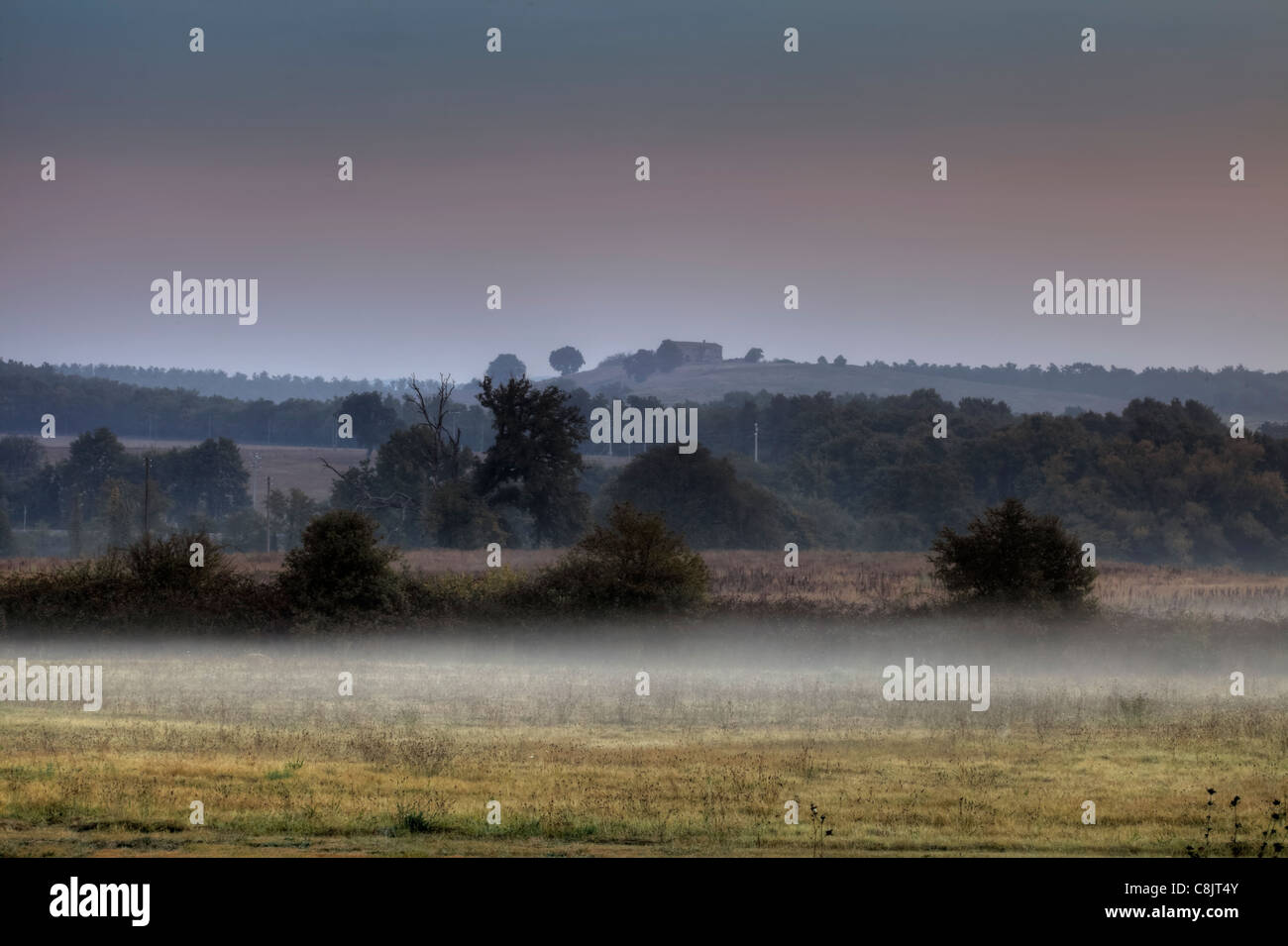 Morning Mist en Toscane, Italie Banque D'Images