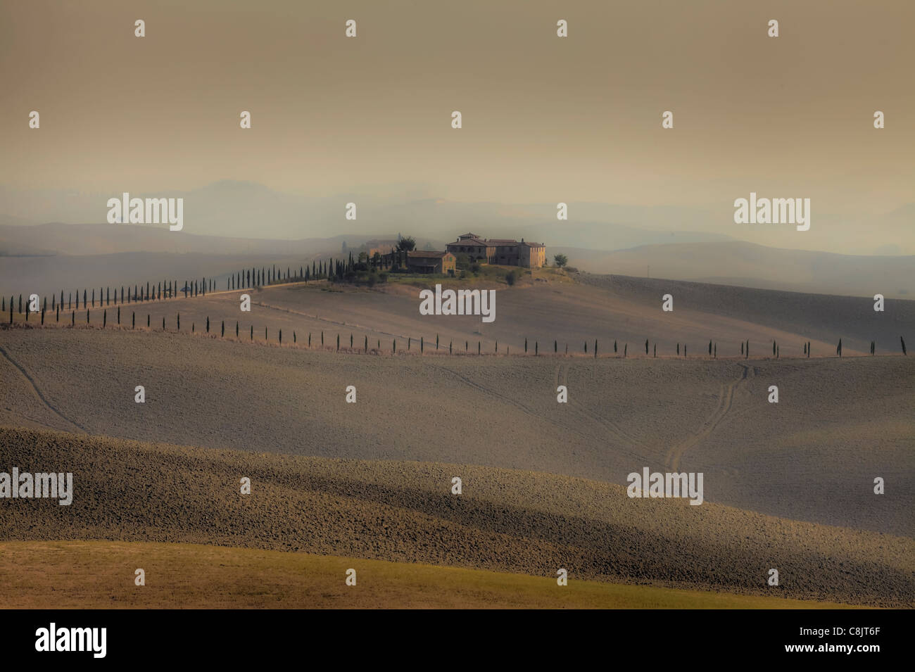 Vue sur le paysage typique de la Toscane en Val d'Orcia Banque D'Images