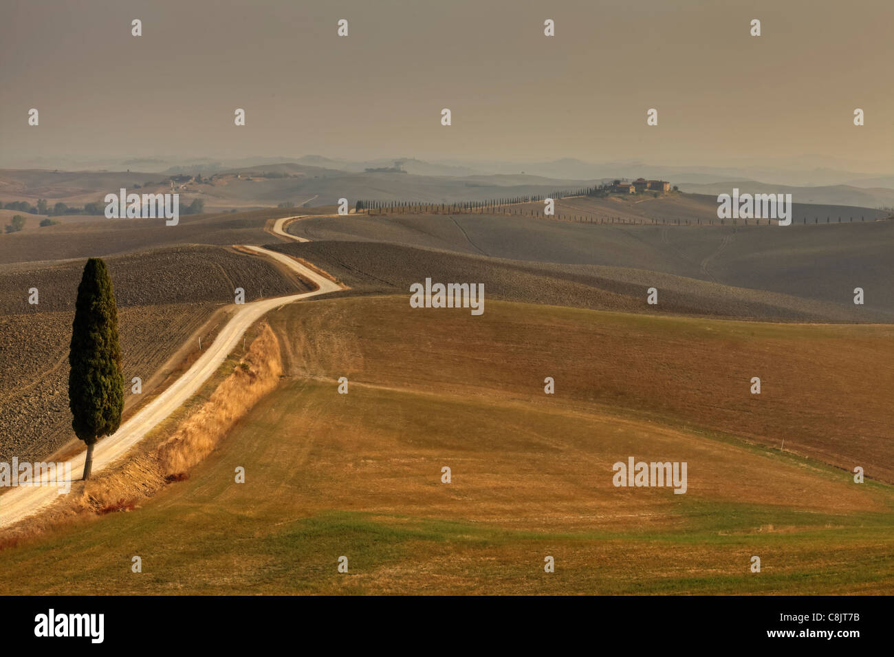 Vue sur le paysage typique de la Toscane en Val d'Orcia Banque D'Images