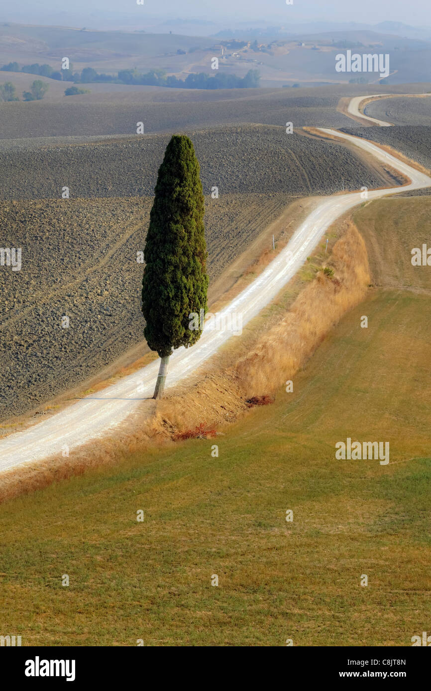 Vue sur le paysage typique de la Toscane en Val d'Orcia Banque D'Images