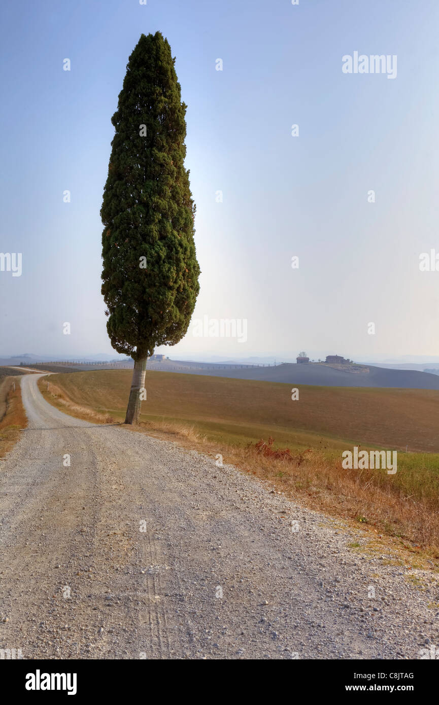 Vue sur le paysage typique de la Toscane en Val d'Orcia Banque D'Images