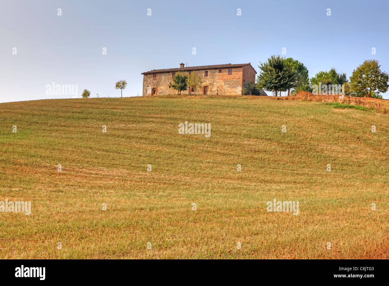 Vue sur le paysage typique de la Toscane en Val d'Orcia Banque D'Images
