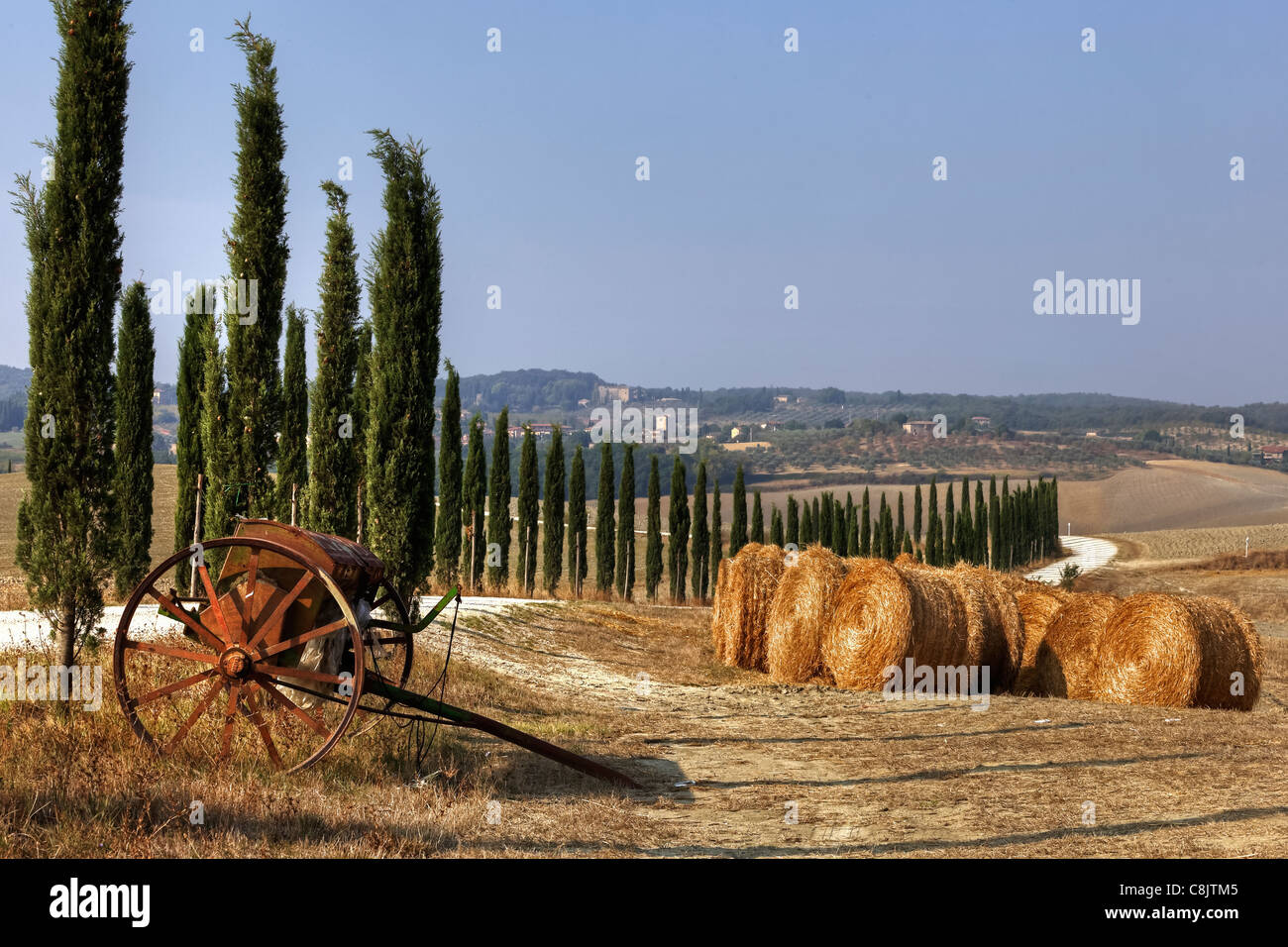 Le paysage typique de la Toscane en Val d'Orcia Banque D'Images