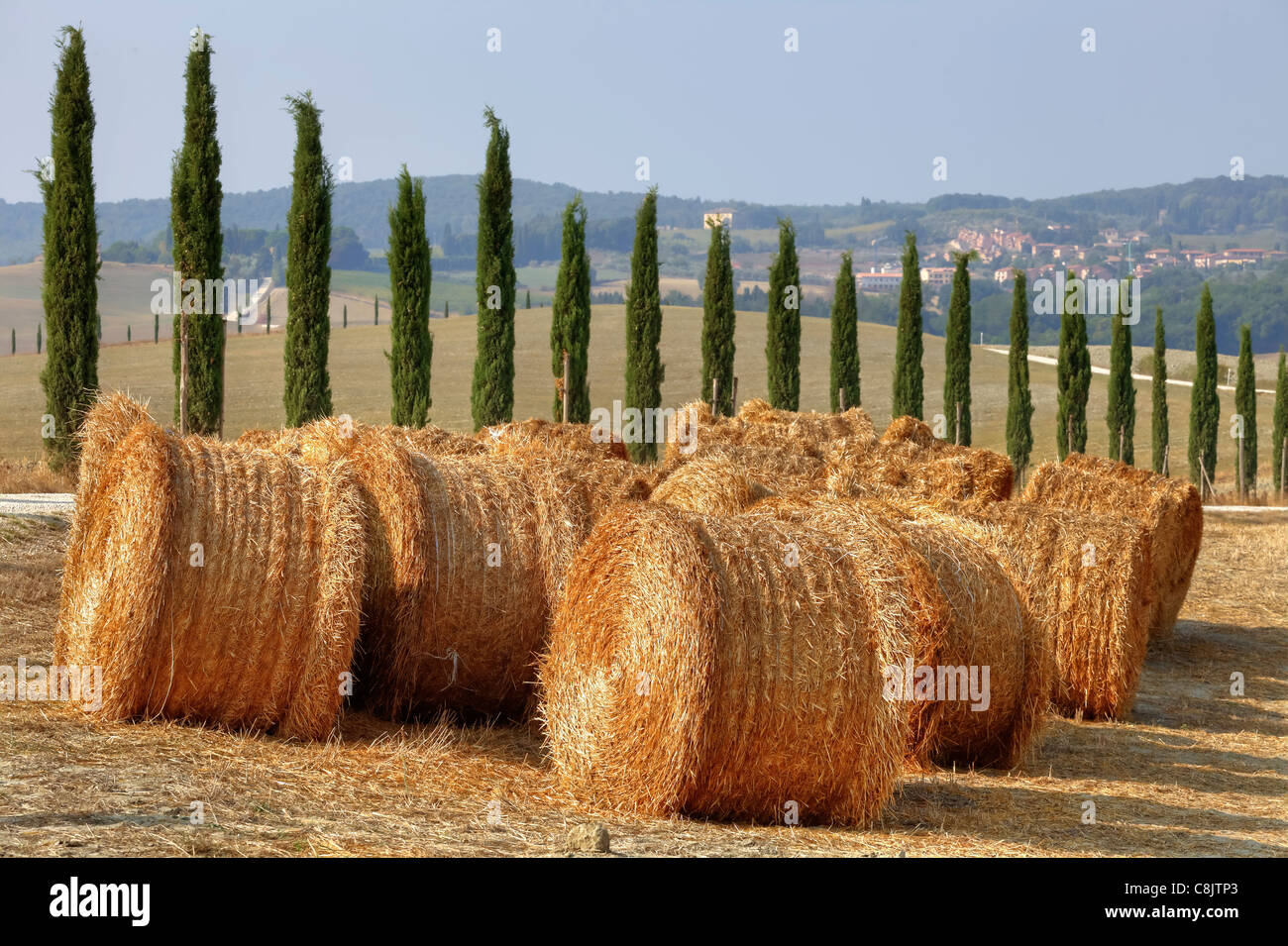 Le paysage typique de la Toscane en Val d'Orcia Banque D'Images