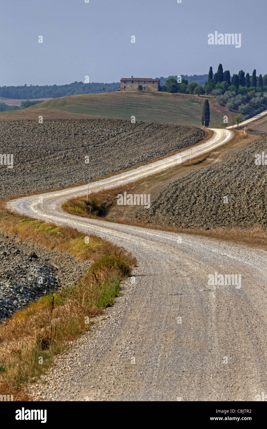 Le paysage typique de la Toscane en Val d'Orcia Banque D'Images