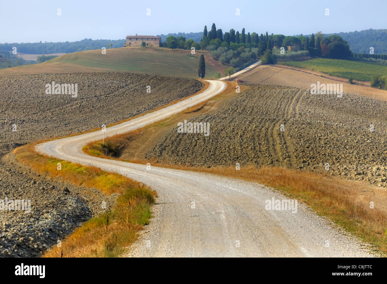 Le paysage typique de la Toscane en Val d'Orcia Banque D'Images