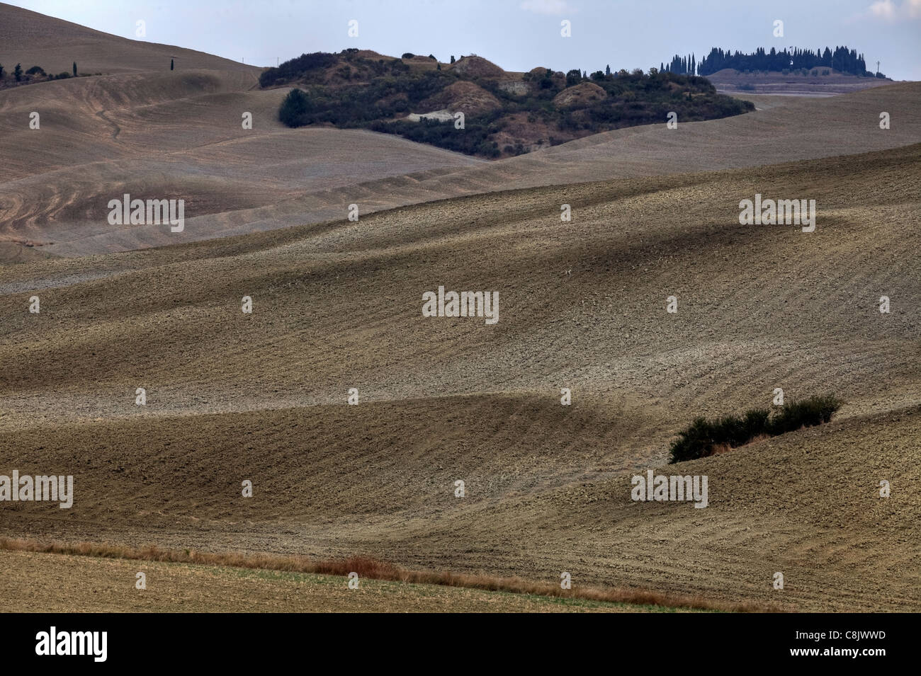 Le paysage typique de la Toscane en Val d'Orcia Banque D'Images