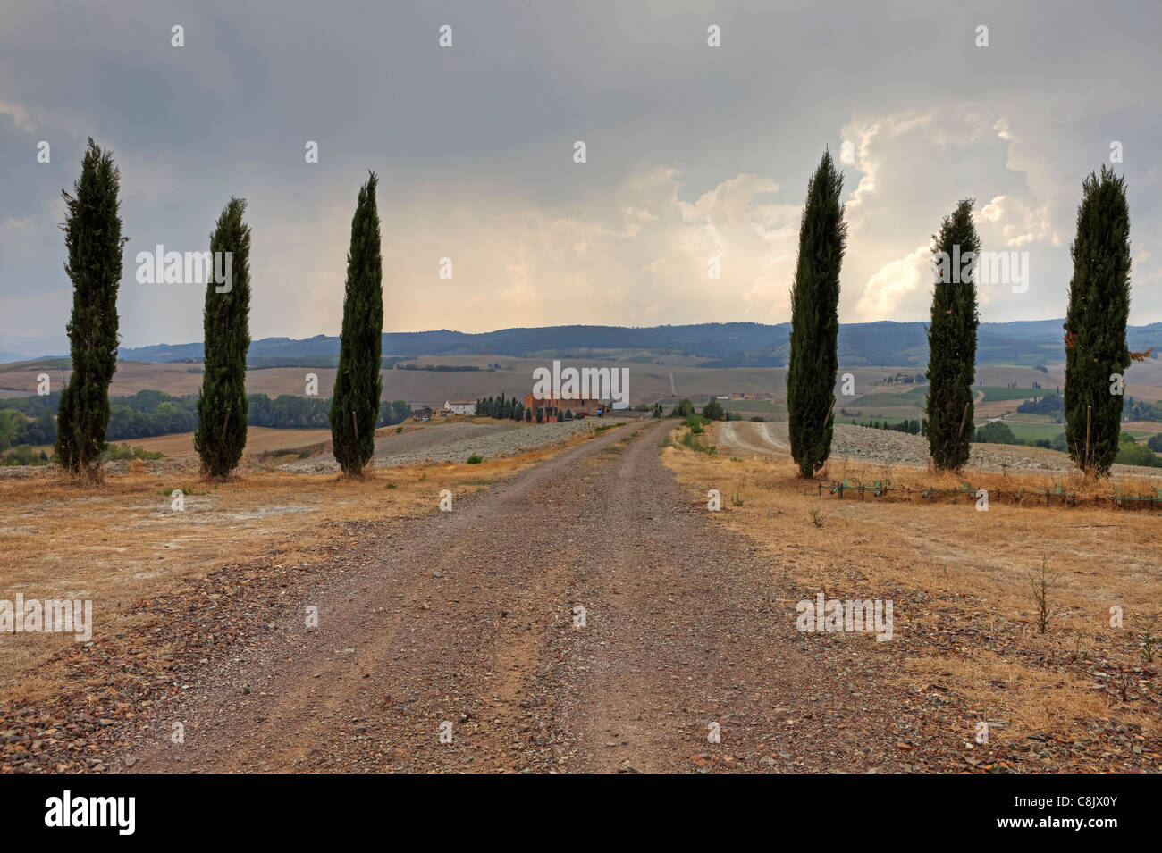 Le paysage typique de la Toscane en Val d'Orcia Banque D'Images