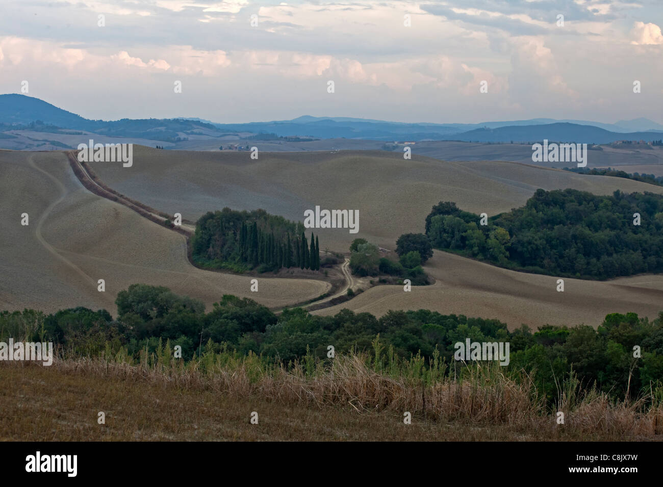 La campagne typique de Toscane en Val d'Orcia Banque D'Images