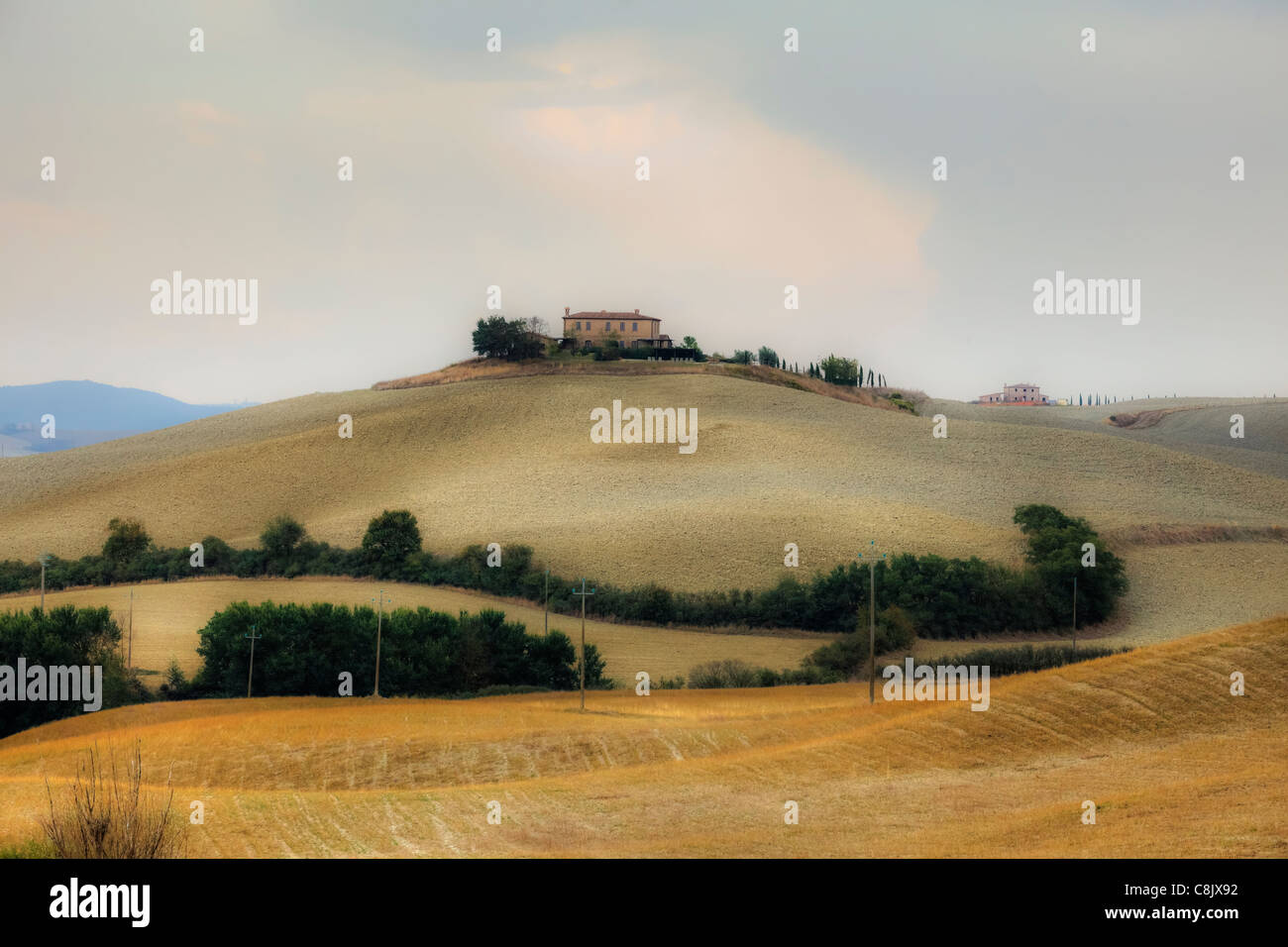 La campagne typique de Toscane en Val d'Orcia Banque D'Images