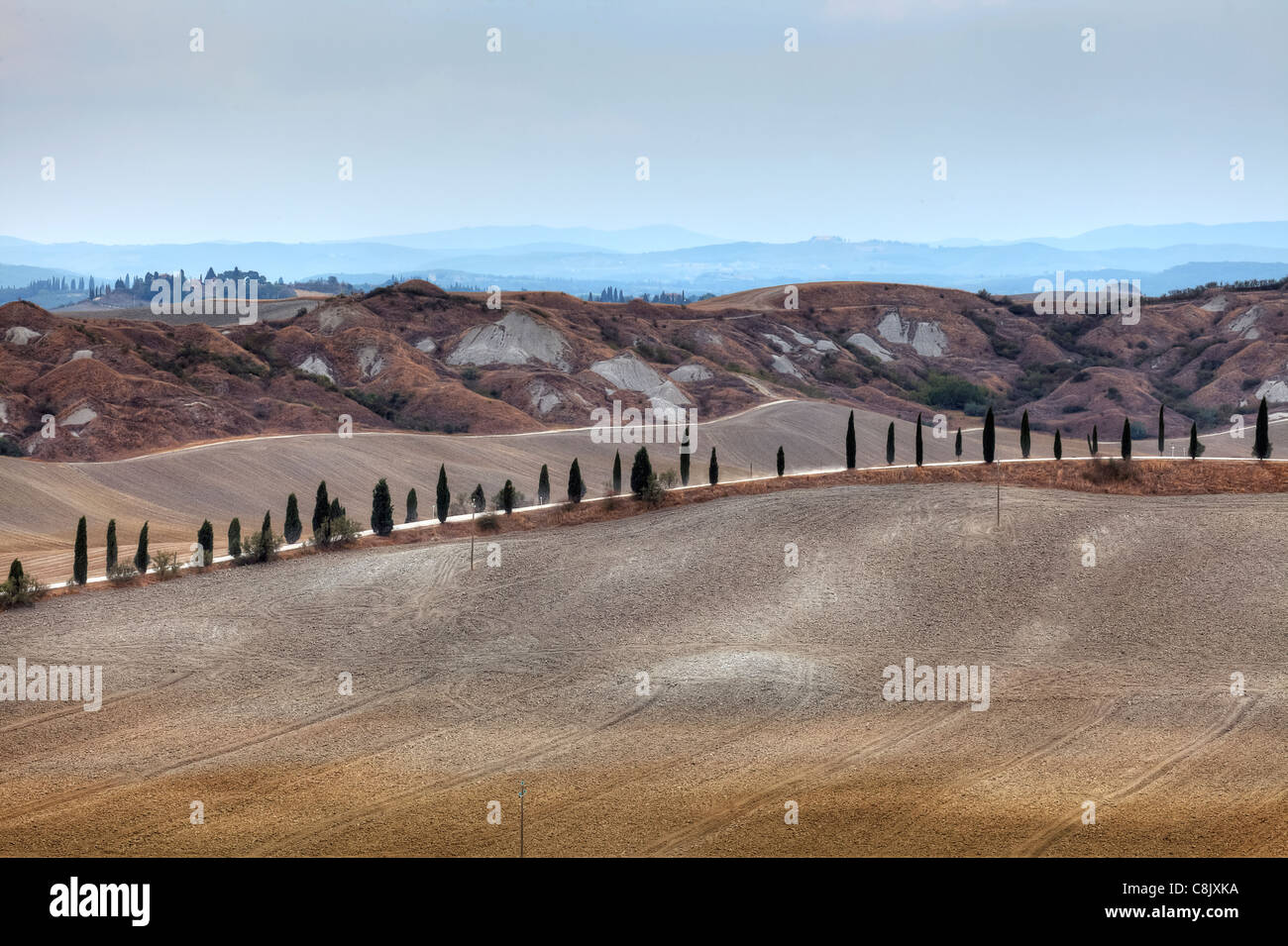 La campagne typique de Toscane en Val d'Orcia Banque D'Images