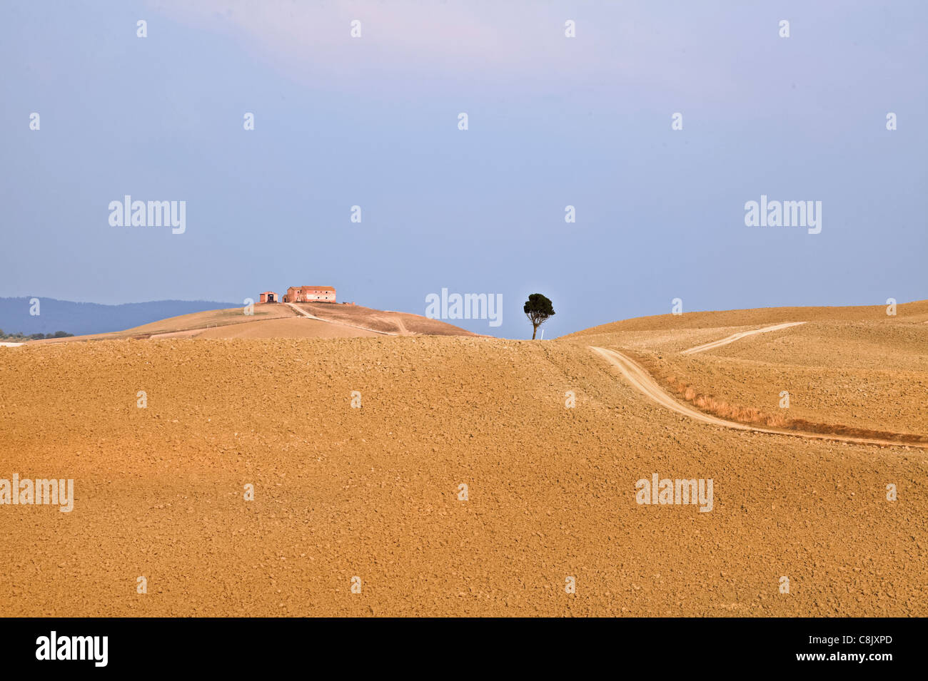 La campagne typique de Toscane en Val d'Orcia Banque D'Images