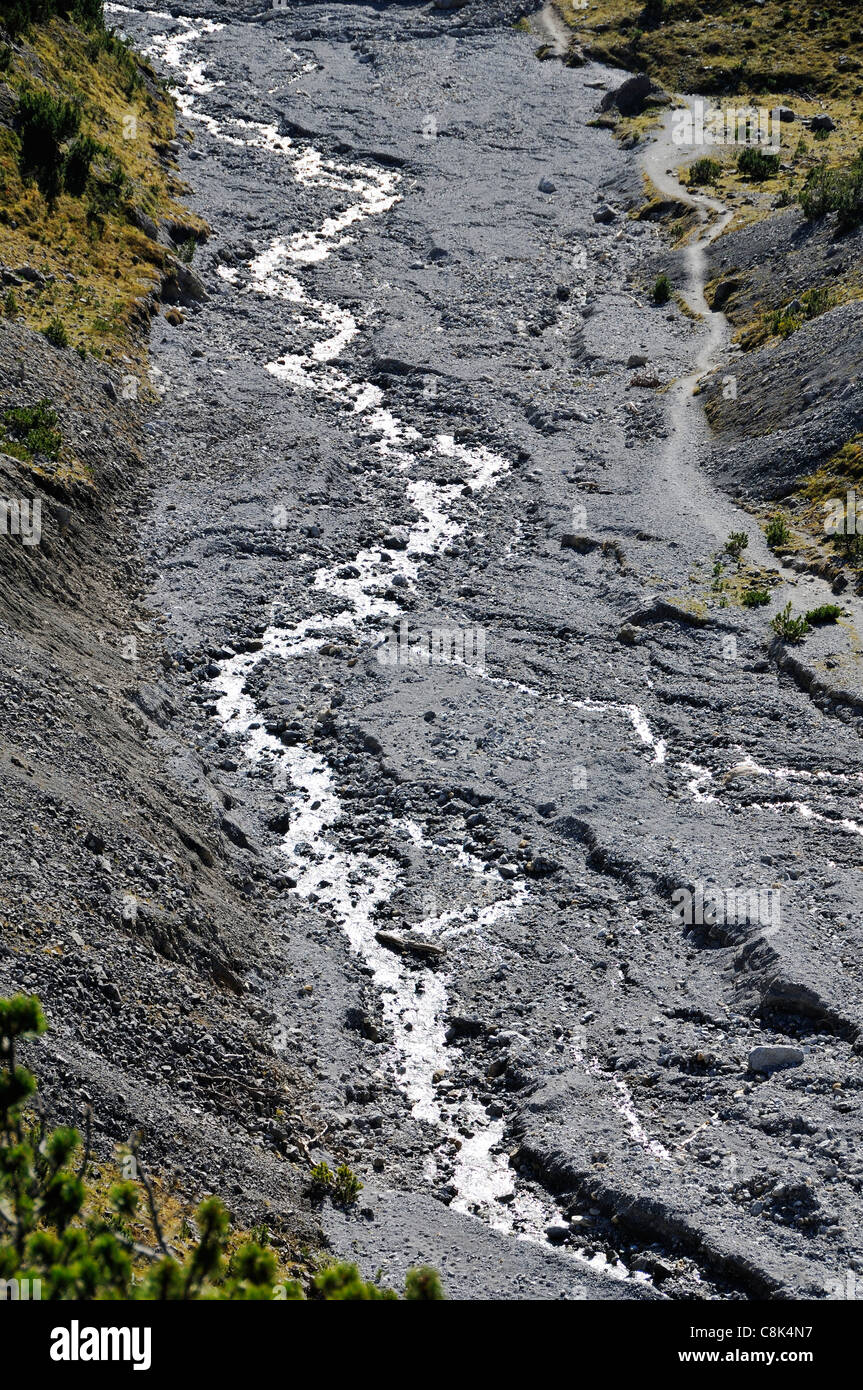 Dans la rivière Val dal Botsch, Parc National Suisse, Engadine, Grisons, Suisse Banque D'Images