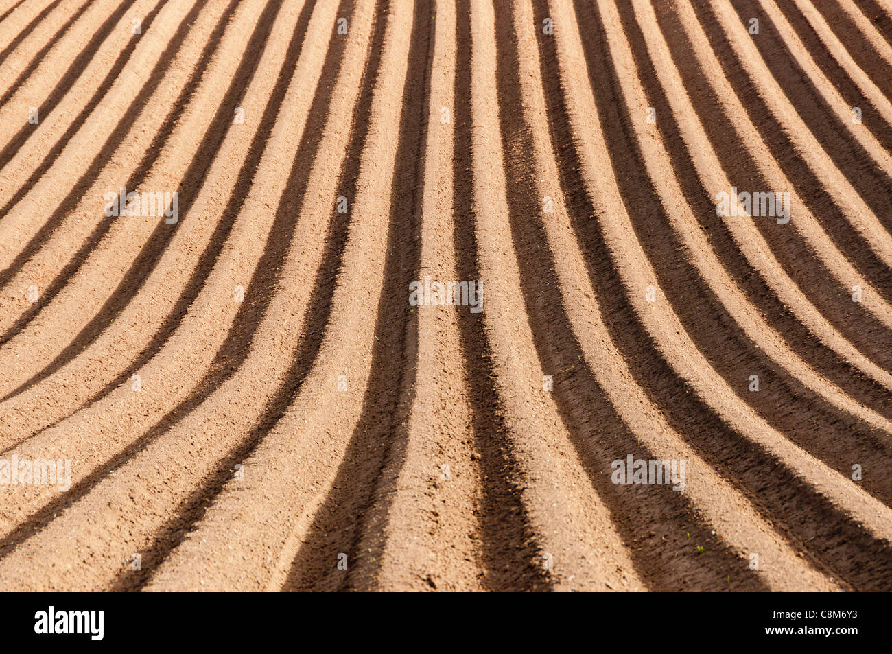 Un champ fraîchement labourés en East Lothian, Ecosse, montrant un motif géométrique de l'ombre dans les sillons. Banque D'Images