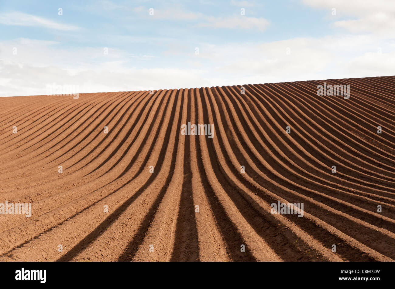 Un champ fraîchement labourés en East Lothian, Ecosse, montrant un motif géométrique de l'ombre dans les sillons. Banque D'Images