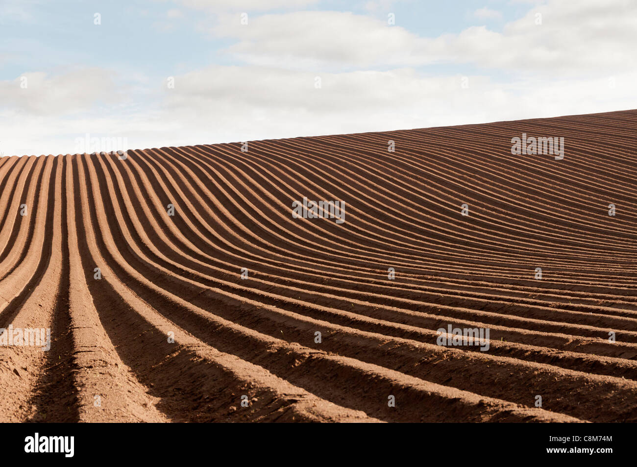 Un champ fraîchement labourés en East Lothian, Ecosse, montrant un motif géométrique de l'ombre dans les sillons. Banque D'Images