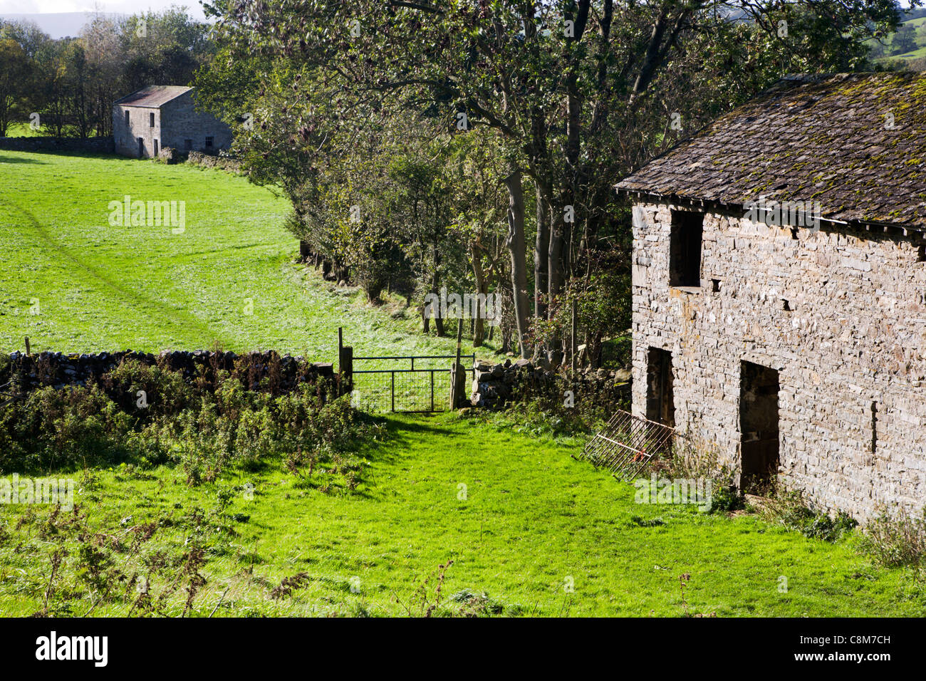 Domaine des granges, près de West Burton Wensleydale Yorkshire Dales England Banque D'Images