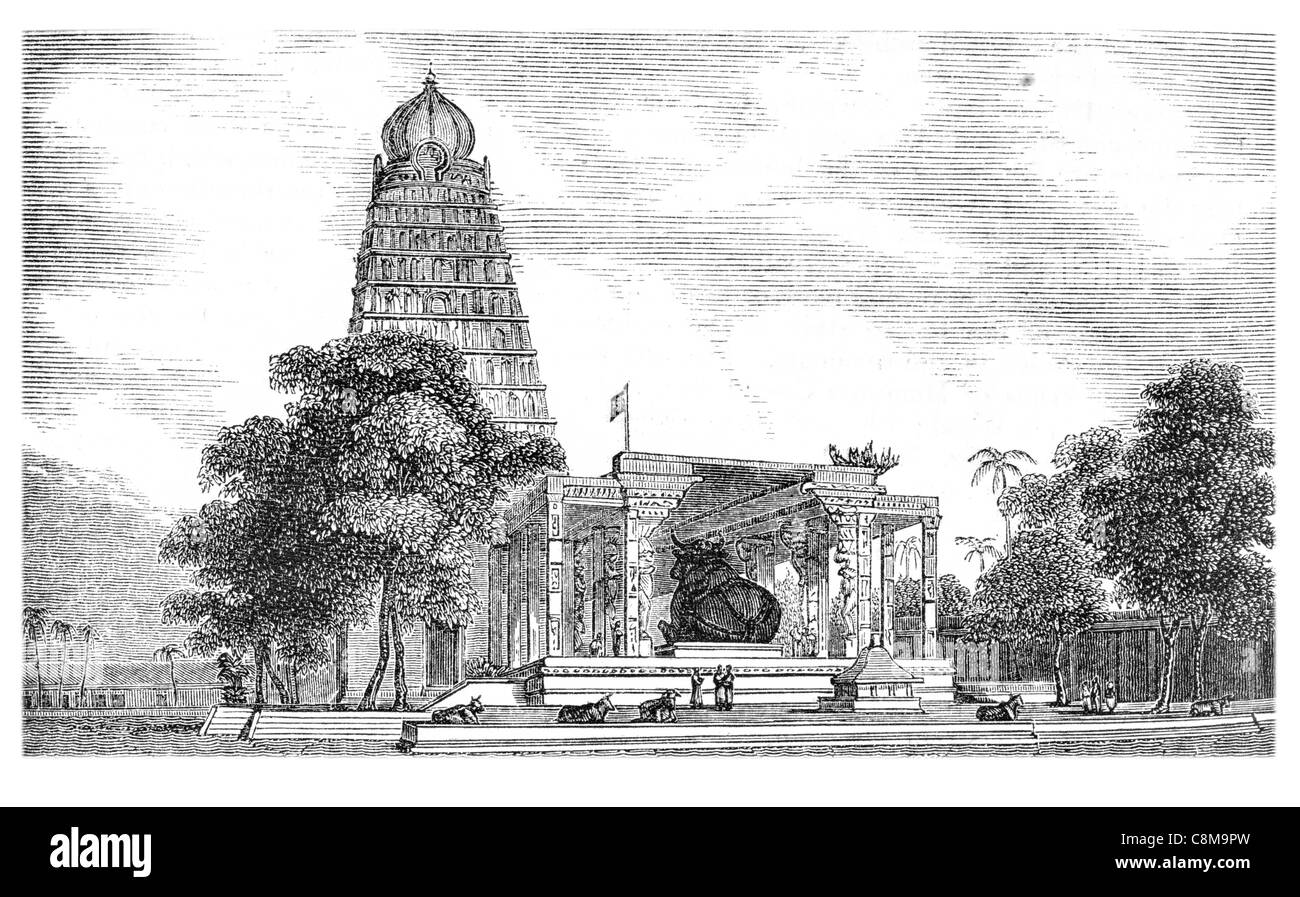 Peruvudaiyar Bull sacré hindou sculptures Koyil Rajarajeswaram Thanjavur temple de granit indien Tamil Nadu UNESCO World Heritage Banque D'Images