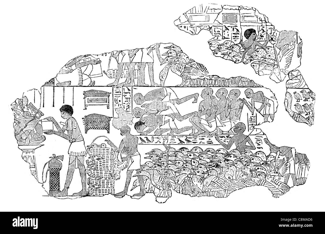 Troupeau d'oies Égypte antiquité égyptienne British Museum collection Sir Hans Sloane ancien archéologue archéologie Banque D'Images