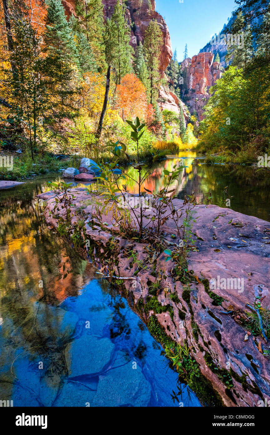 L'automne vient à la gorge à la fin d'octobre. Canyon est à 10 miles au nord de Sedona, Arizona. Banque D'Images