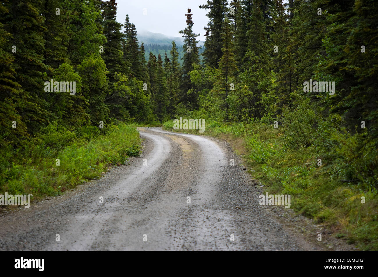 Off road à Katmai National Park Alaska USA Banque D'Images