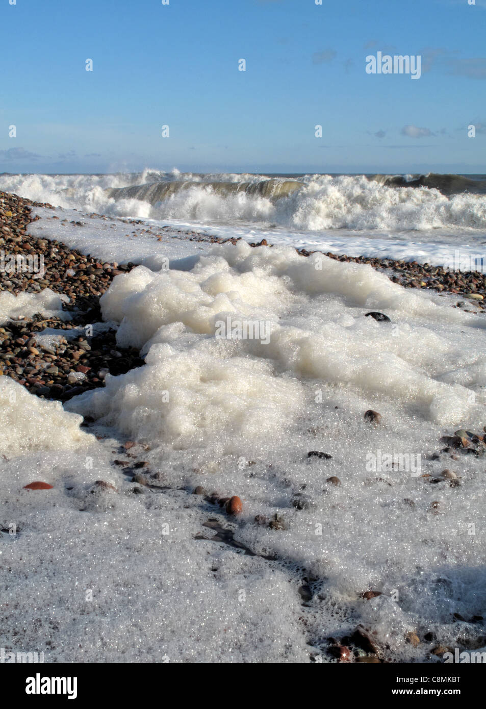 Blanc de marée entrant mousseuses, vagues écumeuses de quitter la plage couverte de mousse de mer. Banque D'Images
