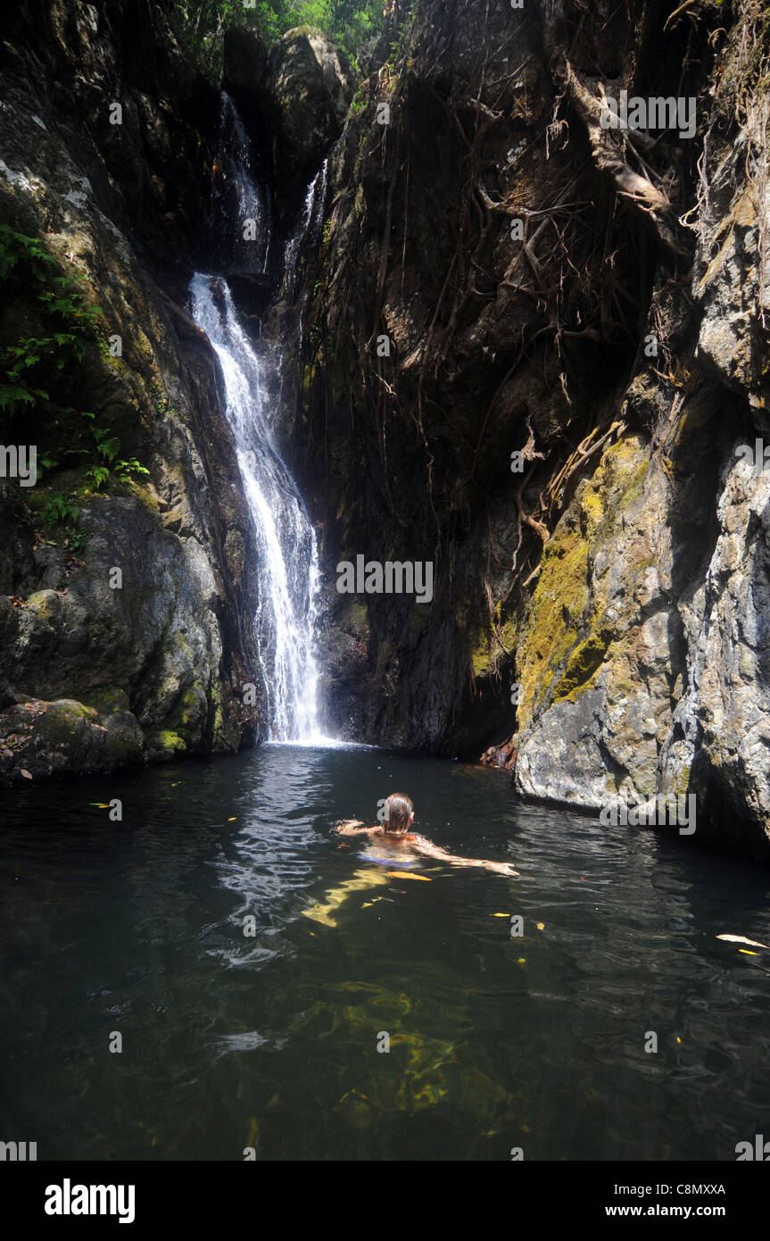 Au nageur Fairy Falls, dans la forêt tropicale près de Crystal Cascades, Redlynch, Cairns, Queensland, Australie. Pas de monsieur Banque D'Images