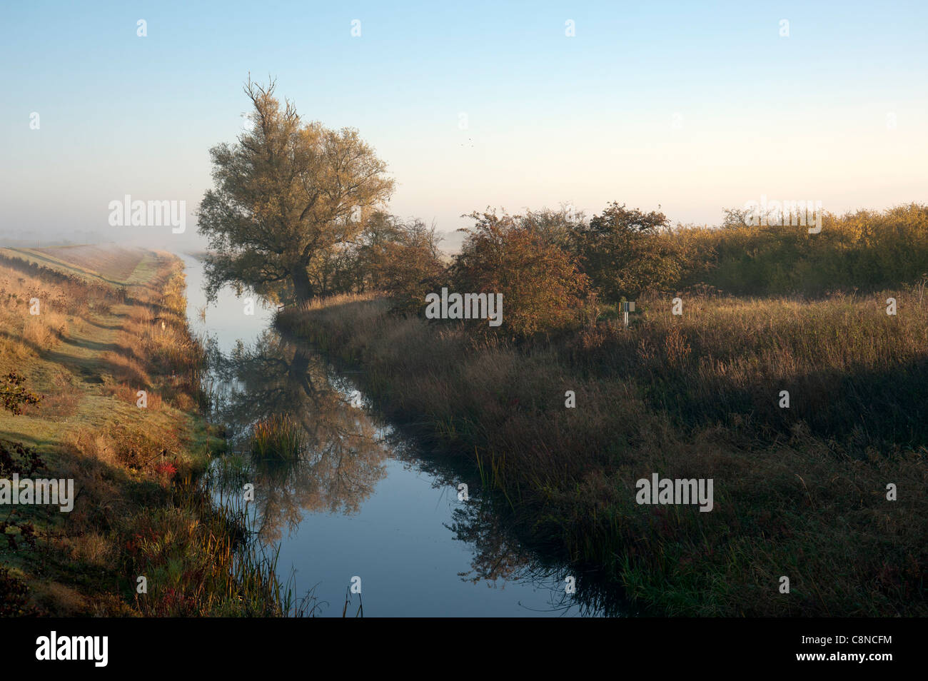 Le nouveau niveau de Bedford ou vidange River dans le Cambridgeshire Fens sur un matin d'automne brumeux Banque D'Images