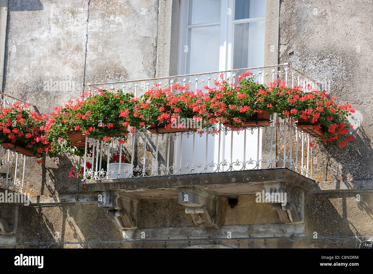 Italie, Sicile, Novara di Sicilia, balcon avec des géraniums rouges dans les jardinières Banque D'Images