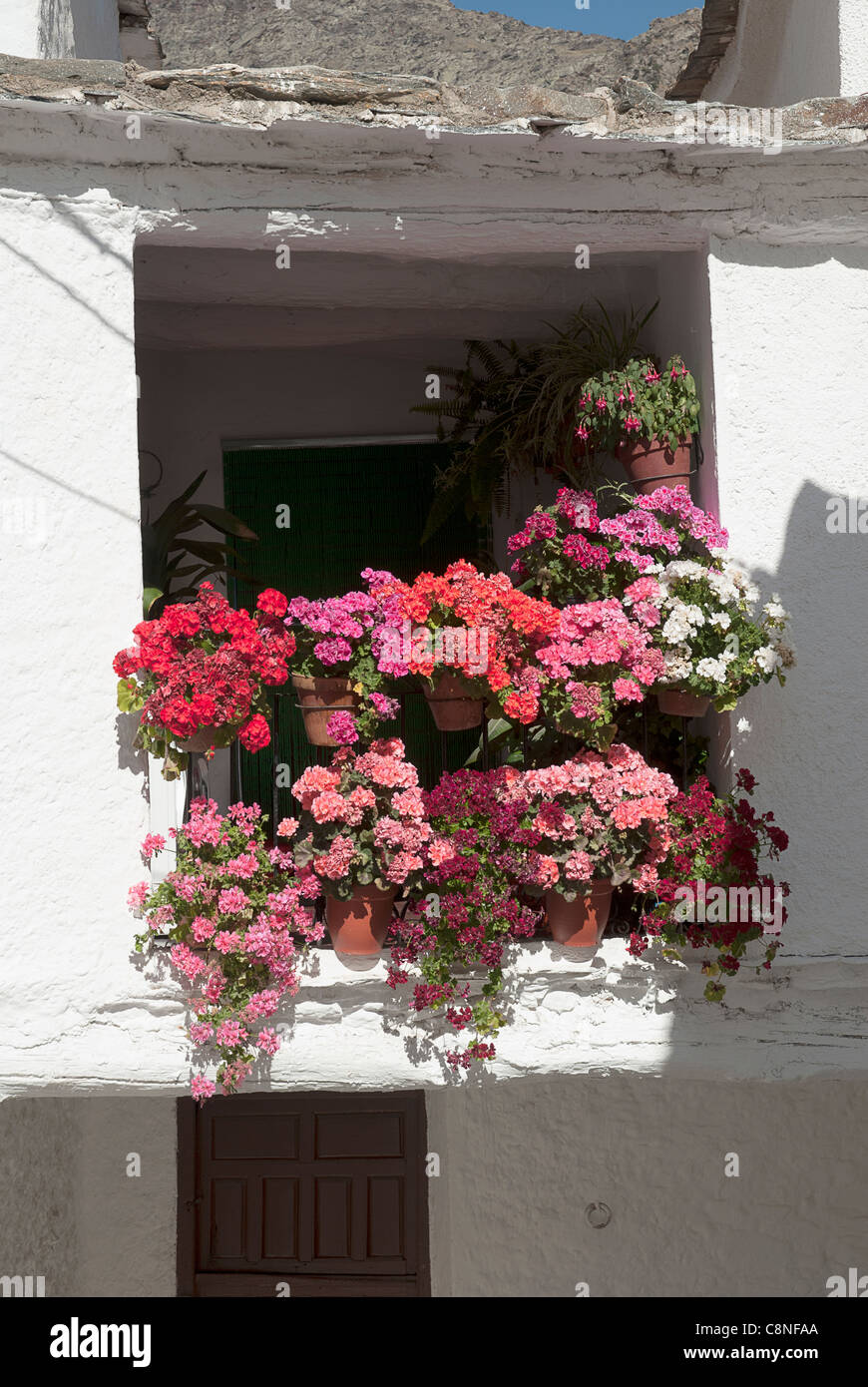 Espagne, Andalousie, Alpujarras, Capileira, pots de fleurs sur le balcon Banque D'Images