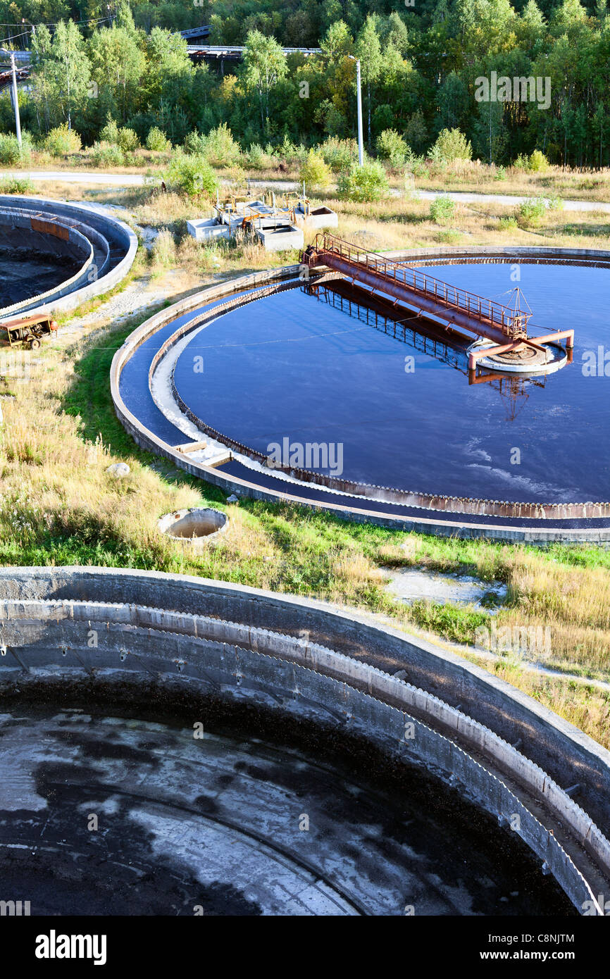 Groupe à partir de la grande la sédimentation des versants. Le règlement de l'eau, purification dans le réservoir par des organismes biologiques sur le poste d'eau Banque D'Images