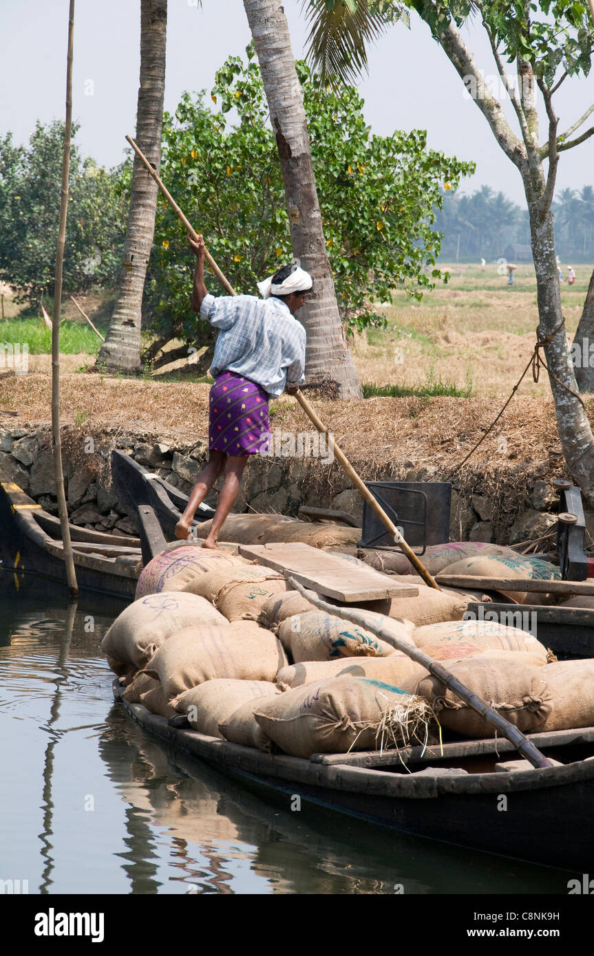 Kerala ceinture de riz Banque de photographies et d’images à haute ...