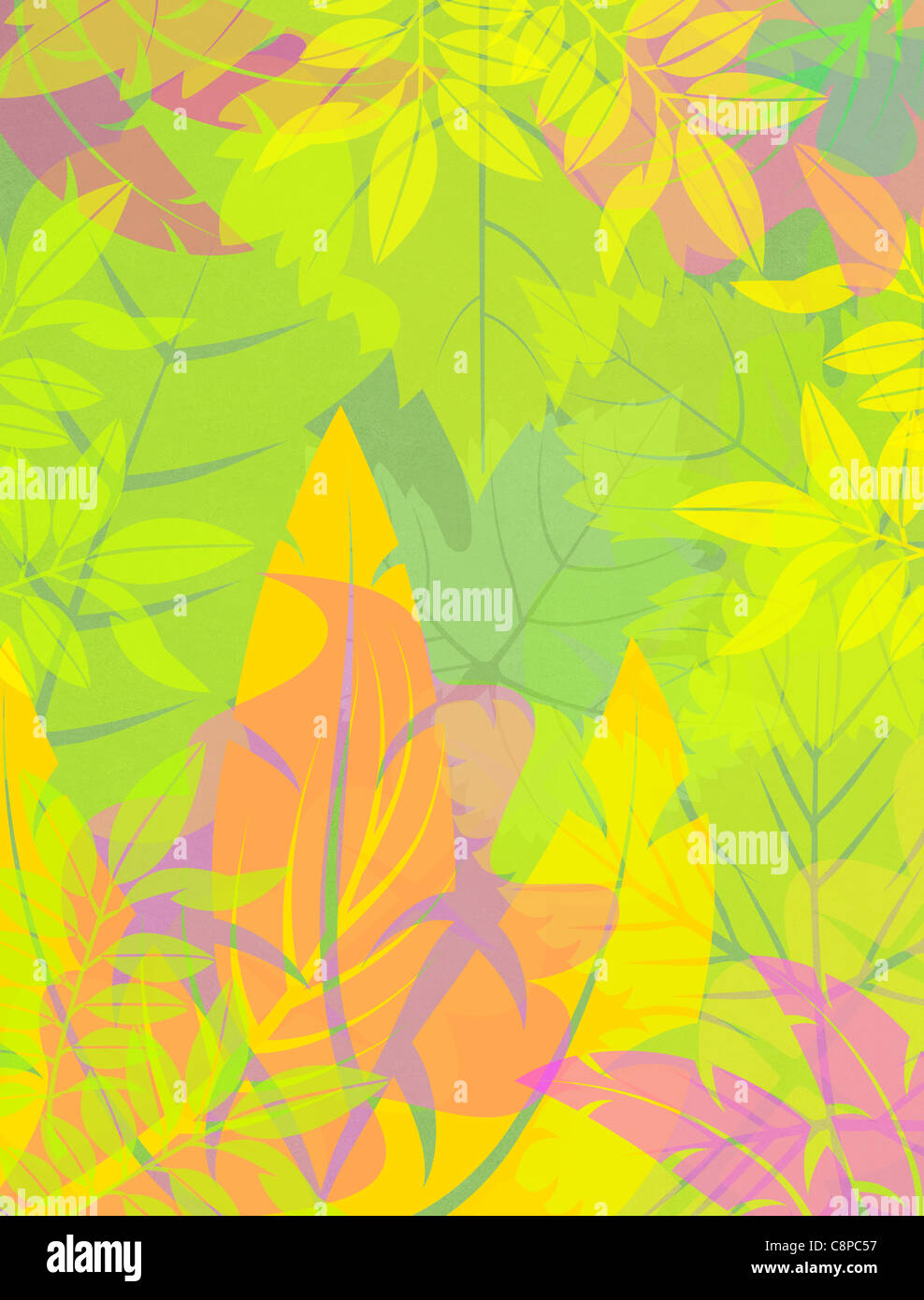 Graphiques représentant les feuilles colorées Banque D'Images