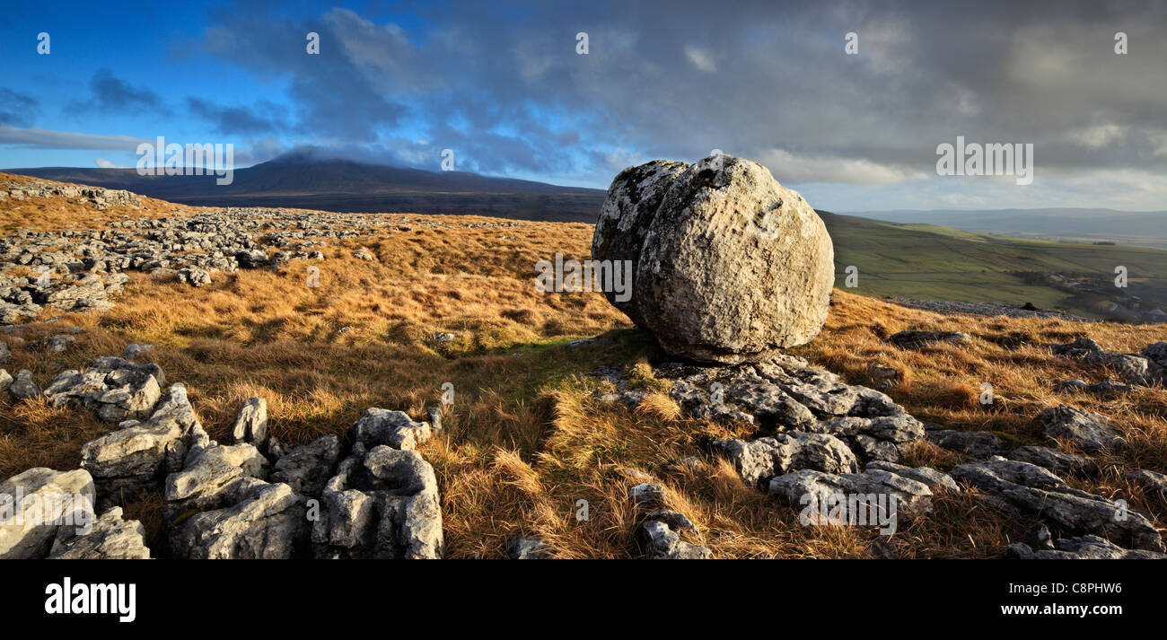 Lone erratique glaciaire se dresse sur Twistleton cicatrice avec Ingleborough dans la distance près de Ingletonin les Yorkshire Dales de l'Angleterre Banque D'Images