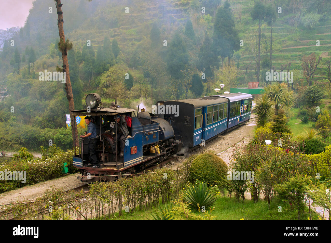 Darjeeling Darjeeling train à voie étroite de l'ouest du Bengale en Inde Banque D'Images