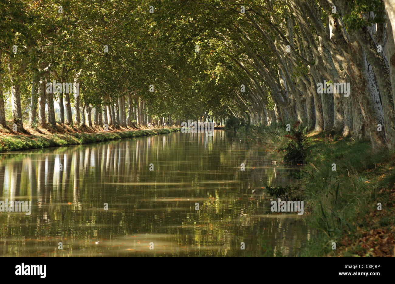Canal du Midi près de Béziers, dans le sud de la France Banque D'Images