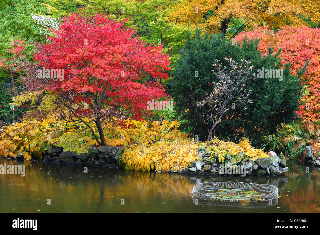 Encore tranquille tranquille eau riche automne couleurs d'automne Banque D'Images