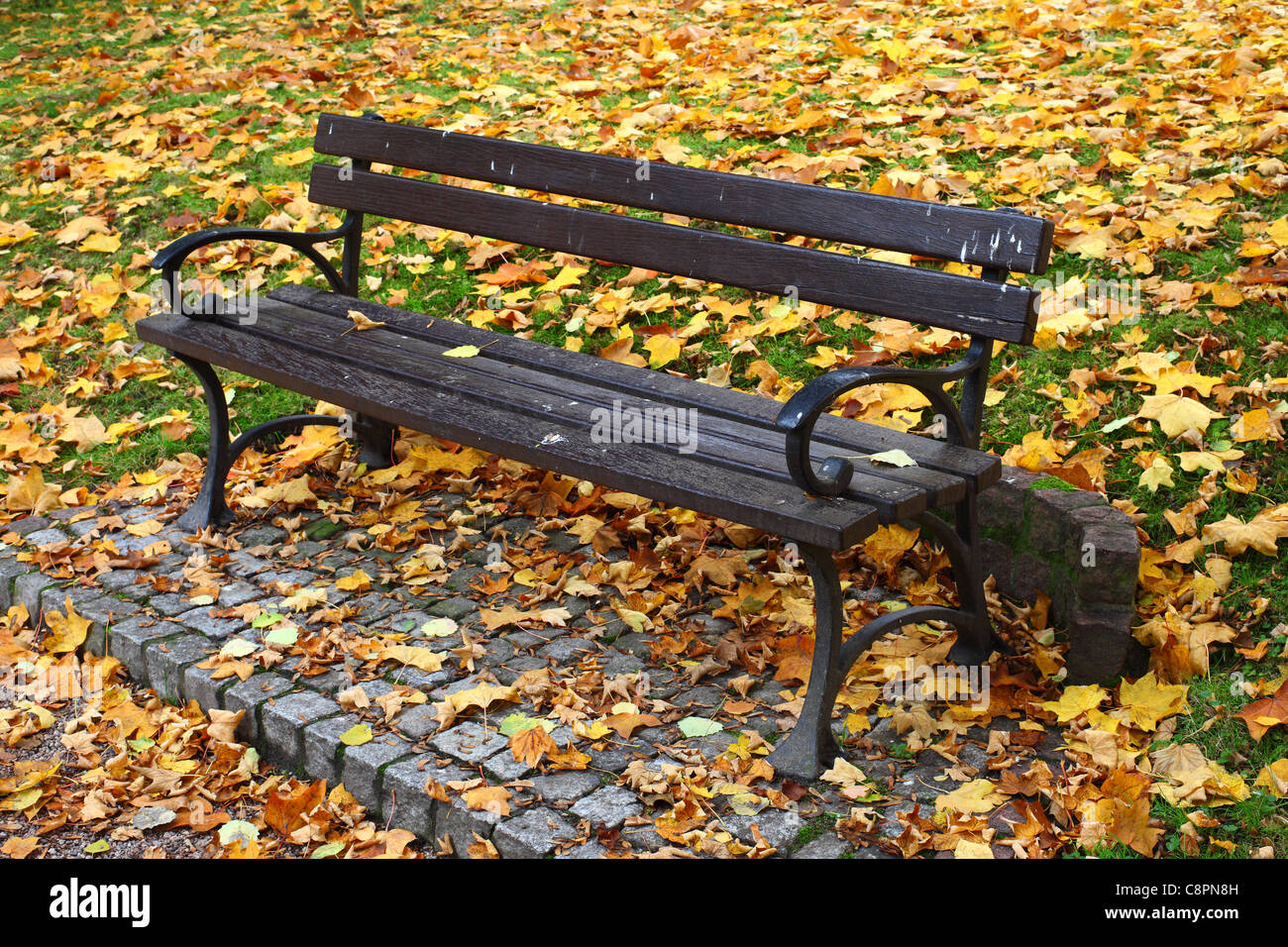 Banc de parc parmi les feuilles mortes de l'automne vide solitude solitaire Banque D'Images