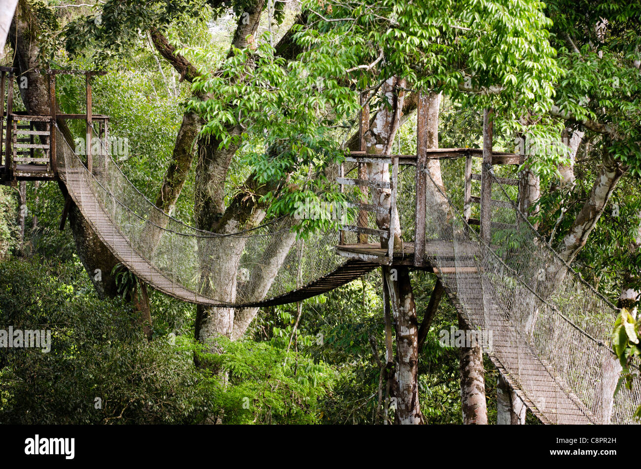 Inkaterra amazon reserve Banque de photographies et d’images à haute ...