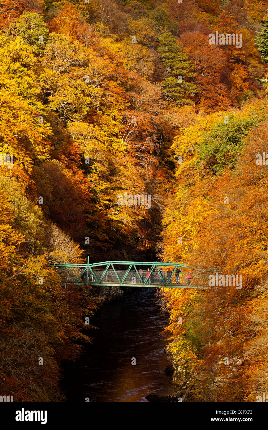 Rivière Garry et pont vert entouré d'automne couleur de buisson pouvant atteindre 12-15 pieds et de pins, col de Killiecrankie, Perthshire en Écosse Banque D'Images